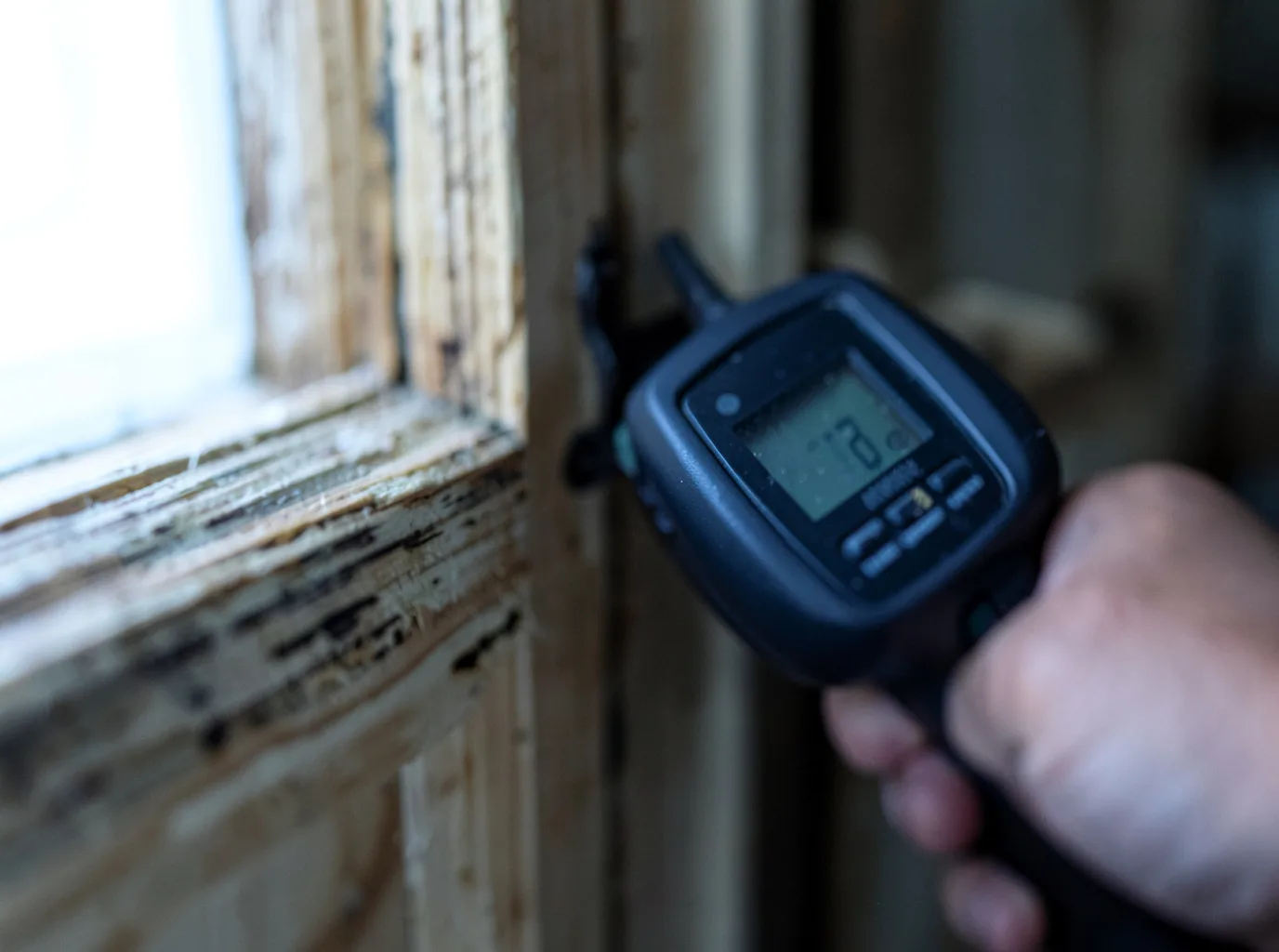 Moisture Inspection And Documentation in Alger, OH